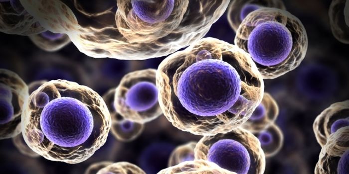 Researchers Investigate the Mutation that Led to Multi-Cell Life on Earth