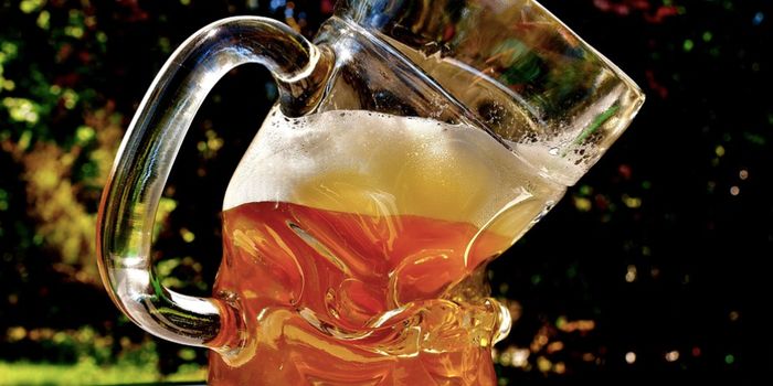 Large, Diverse Study Reveals Many Similarities in the Genetics of Alcohol Abuse