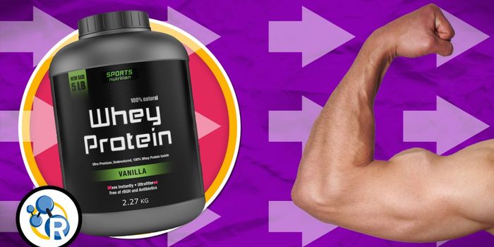 How Much Protein Does a Body Need?