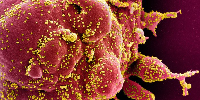 Potential New COVID-19 Vaccine is Delivered by Patch