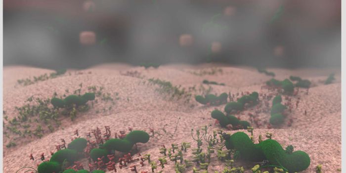 H. pylori Uses a pH-Responsive Protein to Adapt to Acidity