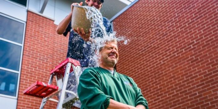 ALS Money Well Spent: Cure Now Possible In Mice