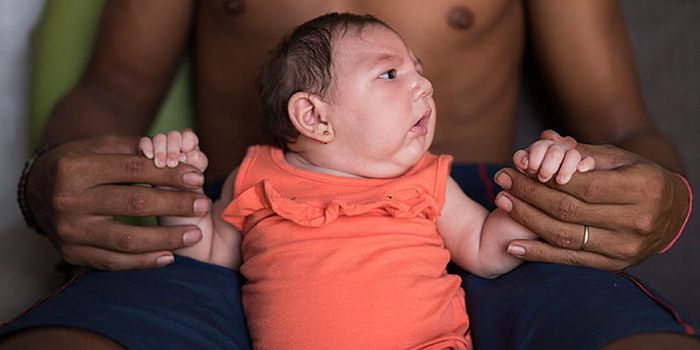 Should You Be Worried About The Zika Virus?