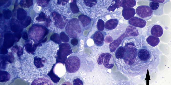 Bringing Macrophages Back From the Dark Side