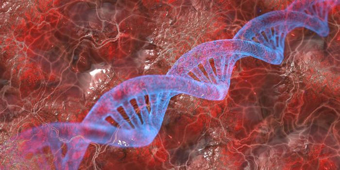 Overactive Immune Gene May Cause Schizophrenia