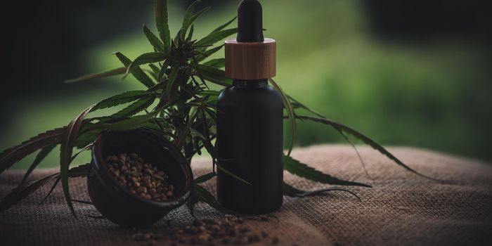 New CBD-Like Molecules Offer Hope for Drug-Resistant Epilepsy