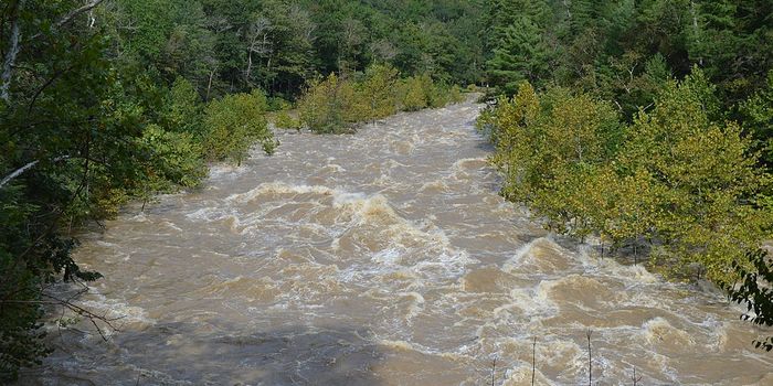 Nature-Based Management Of Rivers Has Potential To Combat The Water Crisis