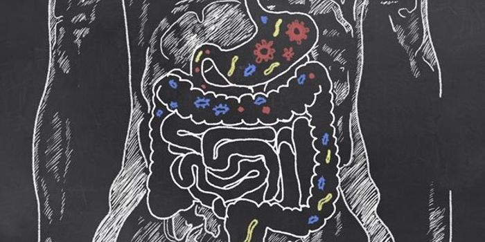 Bacteria and Parkinson's, a connection?