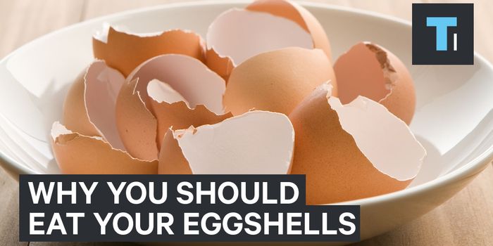 Why Take Calcium Pills When You Can Just Eat Eggshells?