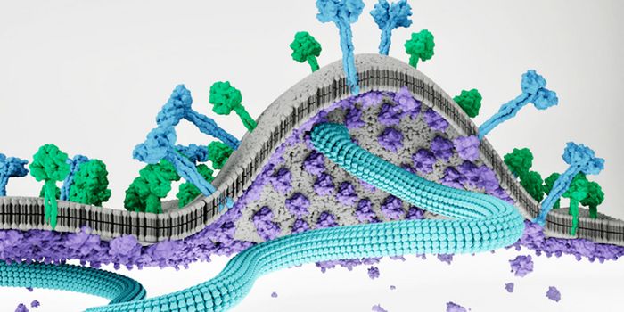 Halting the Assembly of Dangerous Paramyxoviruses Like Nipah