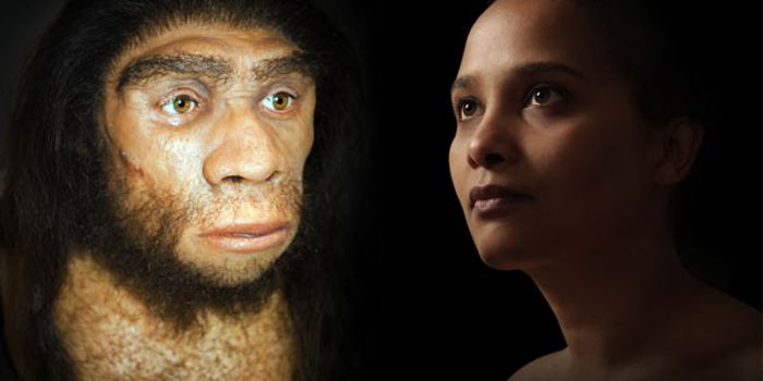 The Genetic Gift From Neanderthals to Modern Humans
