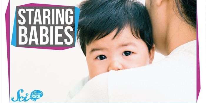 Why do babies stare so much?