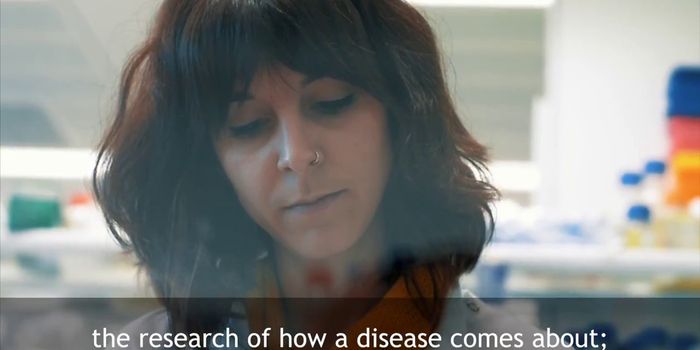 Yeast as a Research Model