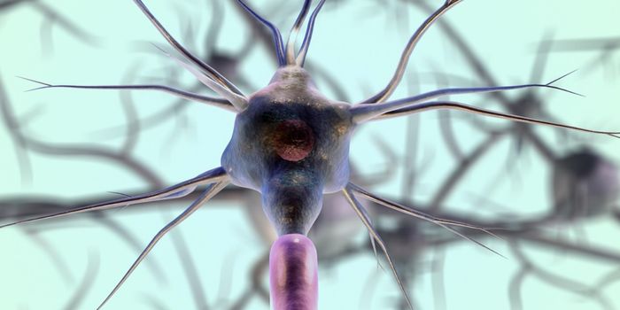 Revealing More About the Role of NMDA Receptors in Pain