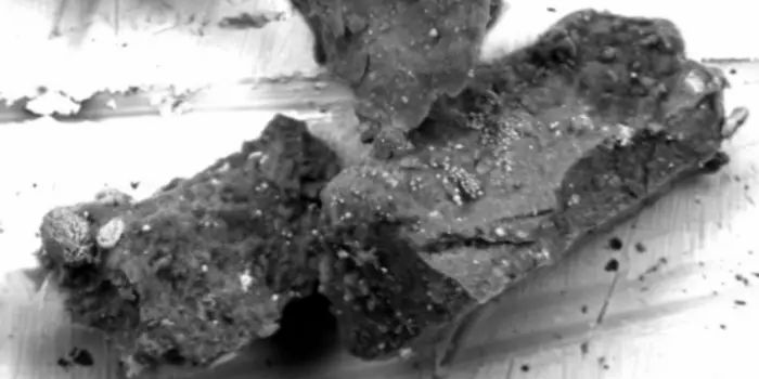 Asteroid Ryugu May Have Experienced Unexpected Heating Events