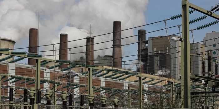 What Did COP28 Accomplish for the Climate?