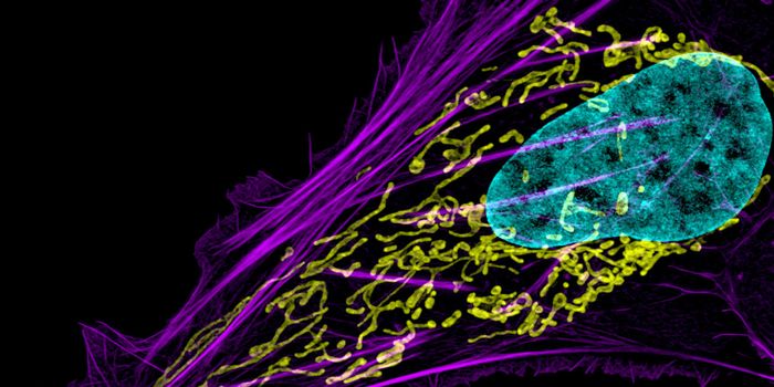 Cancer Genes Might Aim for the Immune System, Not Growth Promotion