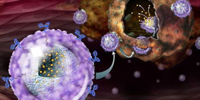 Natural Drug Delivery to Targeted Cells