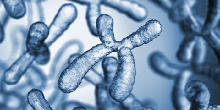 A Tale Of Two Studies