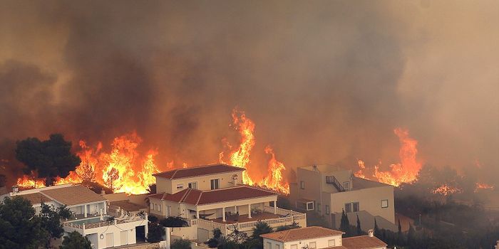 Wildfires ravage the Western US and Spain