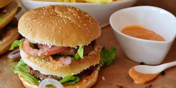 Junk Food Changes Brain Functioning & May Lead to Obesity