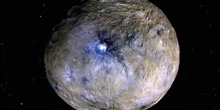 Ceres May Have Once Been a Feast for Microbes