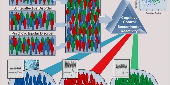 Brain-based Biomarkers Better at Classifying Psychotic Disorders