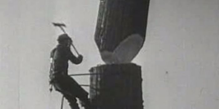 Felling giant redwoods