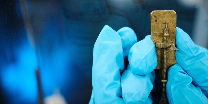 Sneaky Antoni van Leeuwenhoek Duped Curious Academics