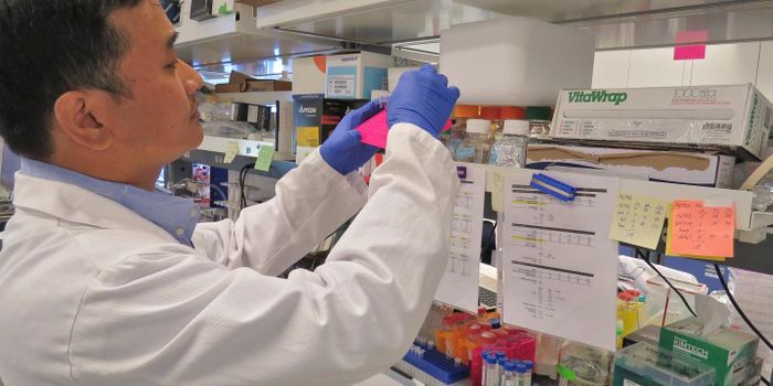 New Drug Target For a Rare Lymphoma