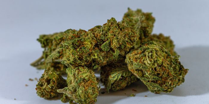 Patient Preferences Include a Diverse Range of Cannabis Products