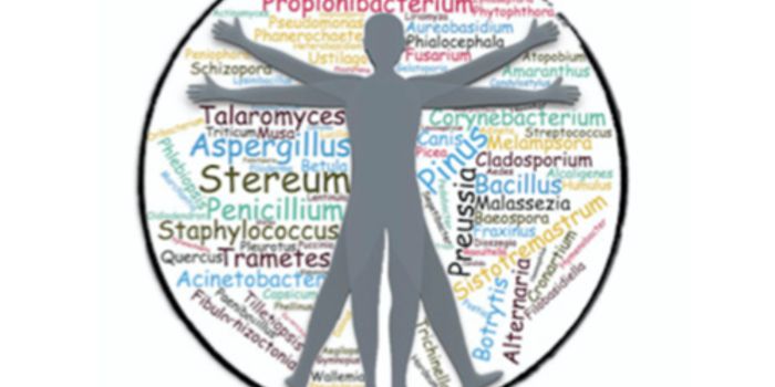 Leaning More About the Microbes We're Constantly Exposed to