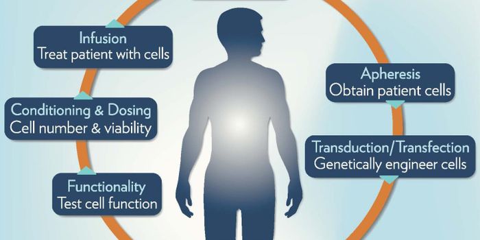 T Cell Infusion Method Enhances Anti-Cancer Effect