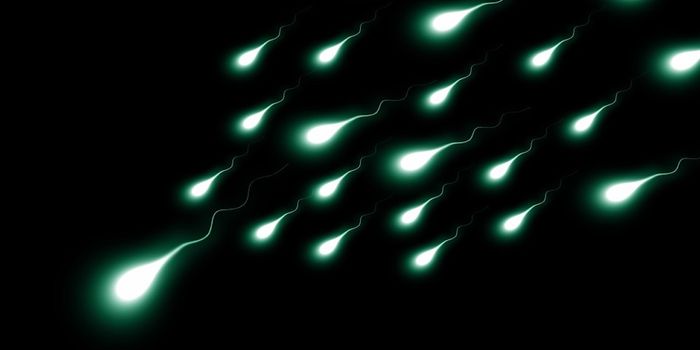 Diet Rapidly Influences Sperm Quality
