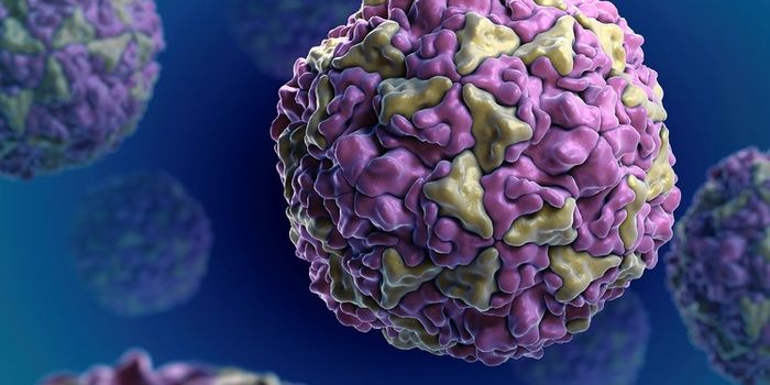 New cures for the common cold?