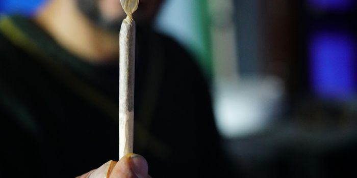 Effects of Having a Medical Cannabis Card on Symptom Management