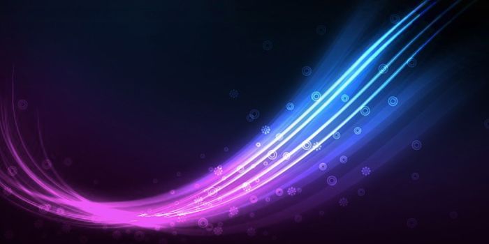 Epigenetic Factors Create the Immune System's Memory