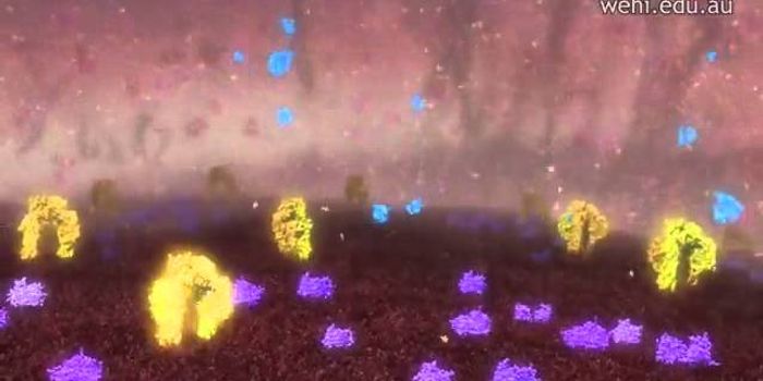 Mechanism of action of insulin and Type 1 Diabetes