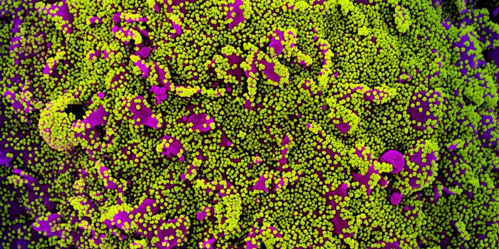 How Do mRNA Vaccines Work?