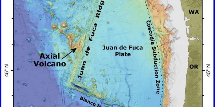 Rumblings From the Deep