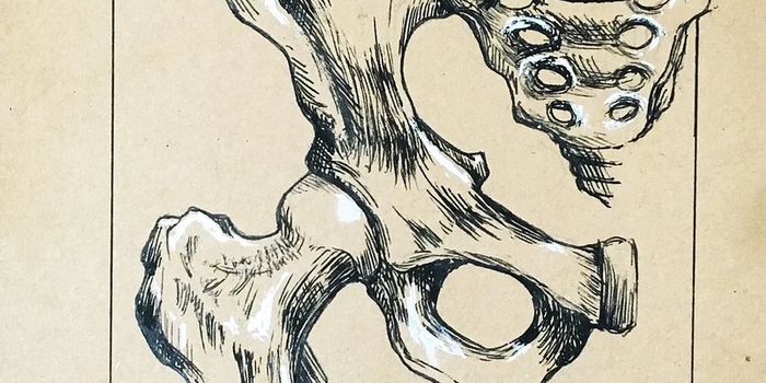 Novel Immunotherapy Reduces Bone Metastasis