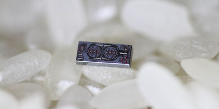 Worlds Smallest Gyroscope