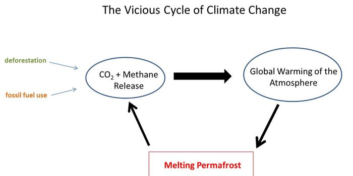 Scientists Urge Leaders to Address Thawing Permafrost