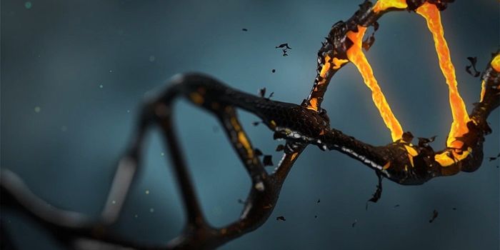 Methylation Markers That Can be Used to Diagnose Pancreatic Cancer