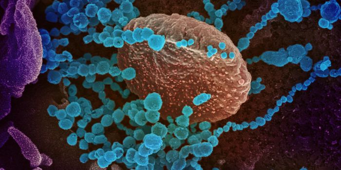 Study Suggests 14-Day Quarantine for SARS-CoV-2 is Reasonable