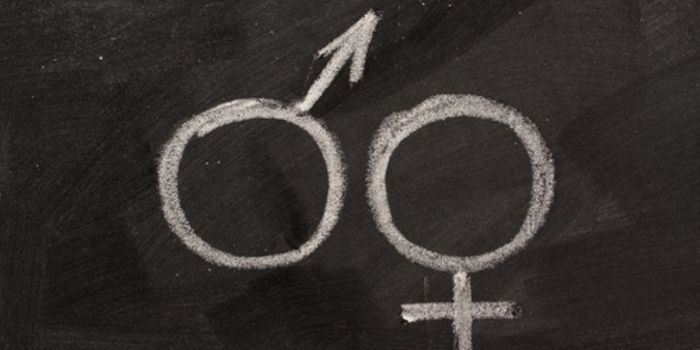 Biological Sex Influences Infectious Disease Outcome