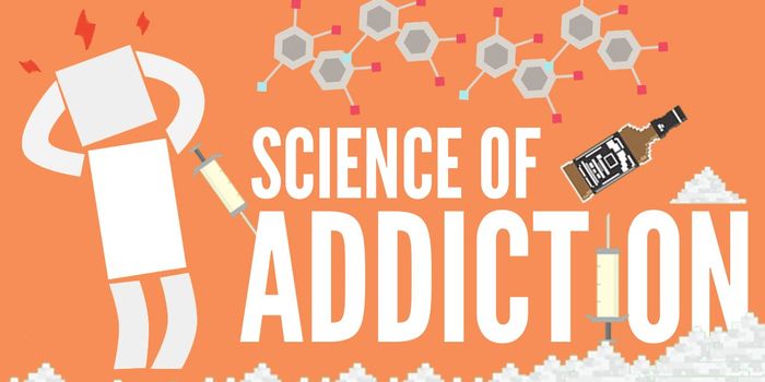Here's How Addiction Works in the Brain