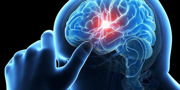 Macrophages Repair Microbleeds in the Brain