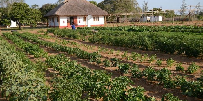 Making fertilizer from thin air