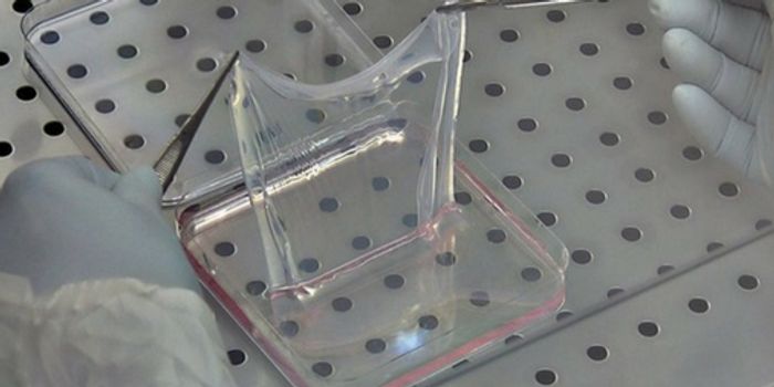 'Butterfly Child' Given New Skin Thanks to Gene Therapy